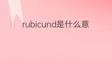 rubicund是什么意思 rubicund的中文翻译、读音、例句