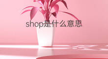 shop是什么意思 shop的中文翻译、读音、例句