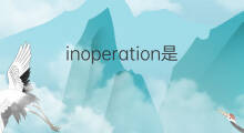 inoperation是什么意思 inoperation的中文翻译、读音、例句