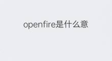 openfire是什么意思 openfire的中文翻译、读音、例句