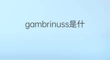 gambrinuss是什么意思 gambrinuss的中文翻译、读音、例句