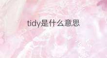 tidy是什么意思 tidy的中文翻译、读音、例句