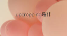 upcropping是什么意思 upcropping的中文翻译、读音、例句