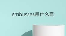 embusses是什么意思 embusses的中文翻译、读音、例句