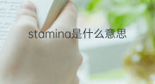 stamina是什么意思 stamina的中文翻译、读音、例句