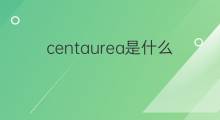 centaurea是什么意思 centaurea的中文翻译、读音、例句