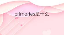 primaries是什么意思 primaries的中文翻译、读音、例句