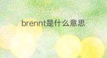 brennt是什么意思 brennt的中文翻译、读音、例句