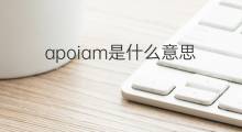apoiam是什么意思 apoiam的中文翻译、读音、例句