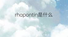rhapontin是什么意思 rhapontin的中文翻译、读音、例句