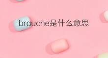 brauche是什么意思 brauche的中文翻译、读音、例句