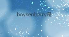 boysenberry是什么意思 boysenberry的中文翻译、读音、例句