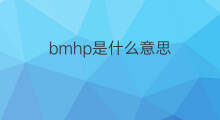 bmhp是什么意思 bmhp的中文翻译、读音、例句