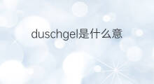 duschgel是什么意思 duschgel的中文翻译、读音、例句