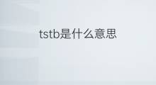 tstb是什么意思 tstb的中文翻译、读音、例句