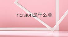 incision是什么意思 incision的中文翻译、读音、例句