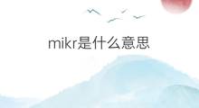 mikr是什么意思 mikr的中文翻译、读音、例句