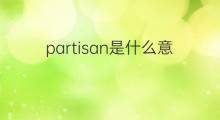 partisan是什么意思 partisan的中文翻译、读音、例句