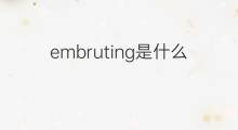 embruting是什么意思 embruting的中文翻译、读音、例句