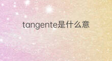 tangente是什么意思 tangente的中文翻译、读音、例句