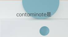 contaminate是什么意思 contaminate的中文翻译、读音、例句
