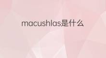 macushlas是什么意思 macushlas的中文翻译、读音、例句