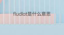fludlat是什么意思 fludlat的中文翻译、读音、例句