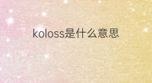 koloss是什么意思 koloss的中文翻译、读音、例句