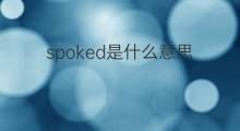 spoked是什么意思 spoked的中文翻译、读音、例句