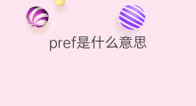 pref是什么意思 pref的中文翻译、读音、例句