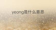 yeong是什么意思 yeong的中文翻译、读音、例句