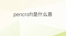 pencraft是什么意思 pencraft的中文翻译、读音、例句