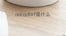 reinsdorf是什么意思 reinsdorf的中文翻译、读音、例句