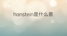 hanstein是什么意思 hanstein的中文翻译、读音、例句