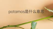potamos是什么意思 potamos的中文翻译、读音、例句