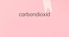 carbondioxide是什么意思 carbondioxide的中文翻译、读音、例句