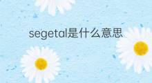 segetal是什么意思 segetal的中文翻译、读音、例句