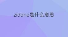 zidane是什么意思 zidane的中文翻译、读音、例句