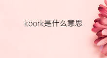 koork是什么意思 koork的中文翻译、读音、例句