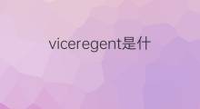 viceregent是什么意思 viceregent的中文翻译、读音、例句
