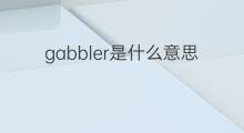 gabbler是什么意思 gabbler的中文翻译、读音、例句