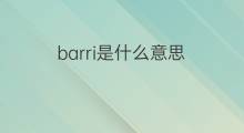 barri是什么意思 barri的中文翻译、读音、例句
