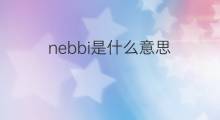 nebbi是什么意思 nebbi的中文翻译、读音、例句