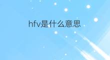 hfv是什么意思 hfv的中文翻译、读音、例句