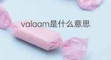 valaam是什么意思 valaam的中文翻译、读音、例句