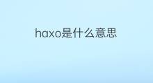 haxo是什么意思 haxo的中文翻译、读音、例句