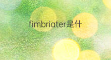 fimbriater是什么意思 fimbriater的中文翻译、读音、例句