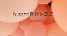 husserl是什么意思 husserl的中文翻译、读音、例句