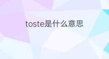 toste是什么意思 toste的中文翻译、读音、例句