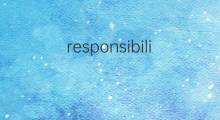 responsibility是什么意思 responsibility的中文翻译、读音、例句